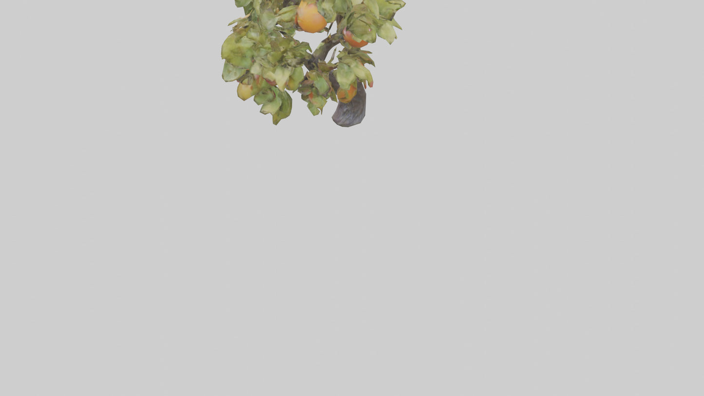 Fruit Bearing Branch Statue model 3D model