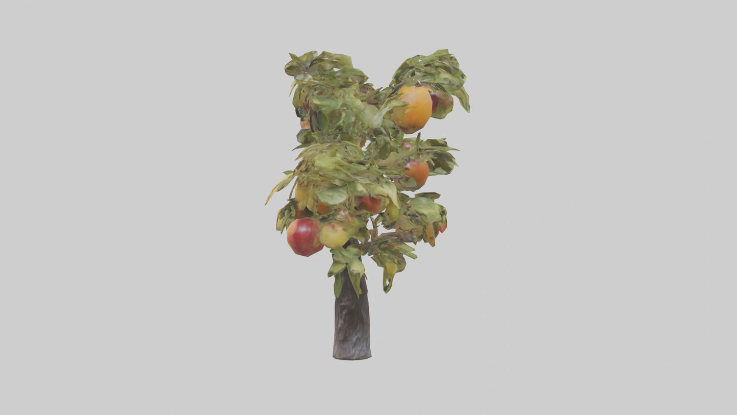 Fruit Bearing Branch Statue model 3D model
