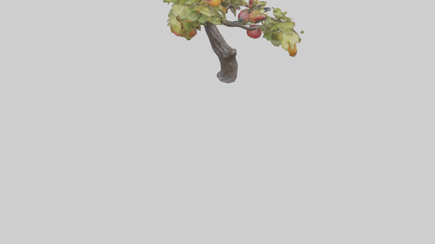 Fruit Bearing Branch Statue model 3D model