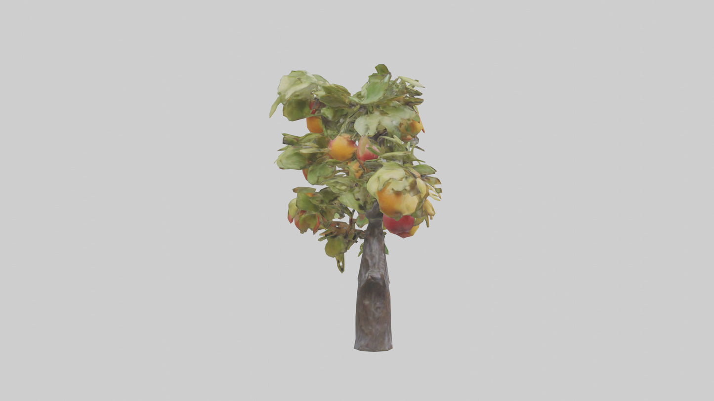 Fruit Bearing Branch Statue model 3D model
