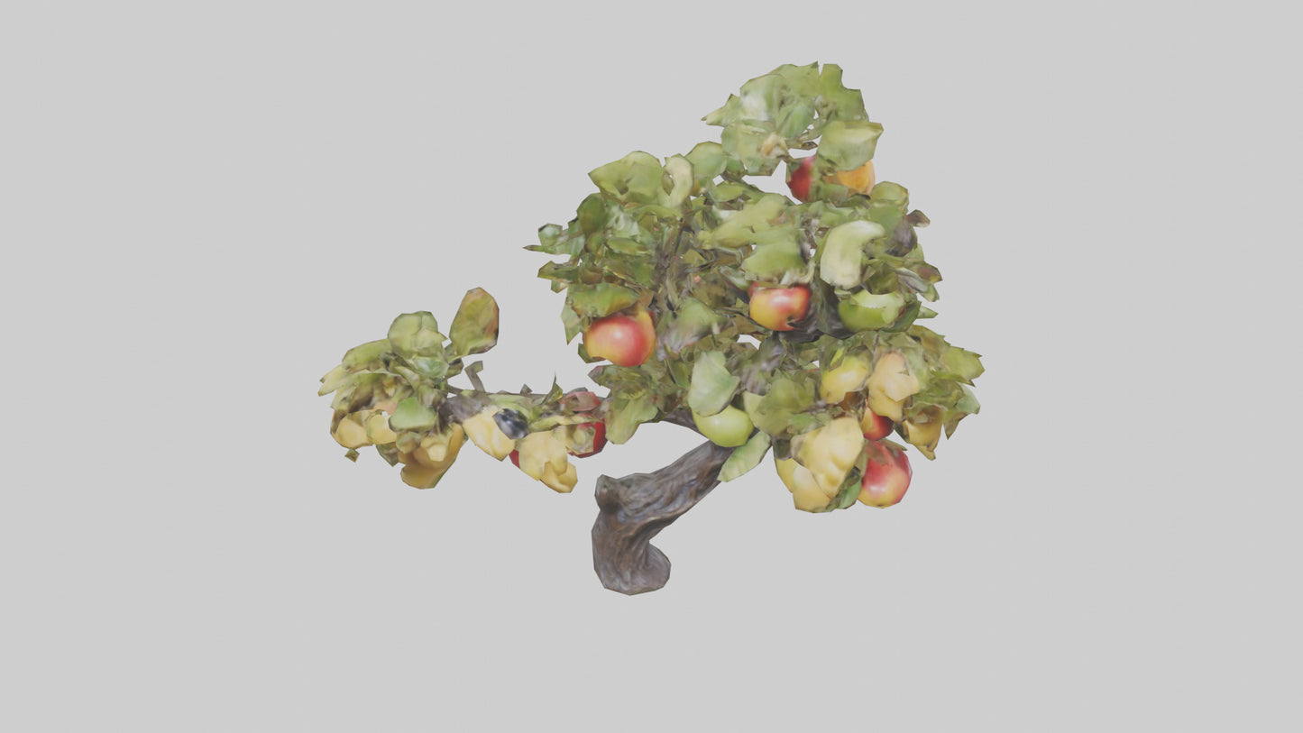 Fruit Bearing Branch Statue model 3D model