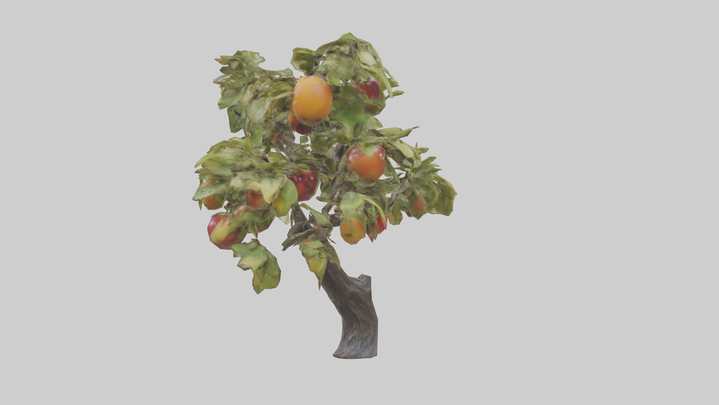 Fruit Bearing Branch Statue model 3D model