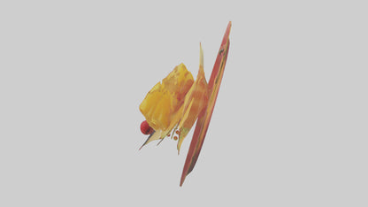 3D model Fruit Garnish model VR / AR / low-poly