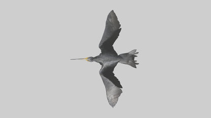 Galapagos Cormorant diving model 3D model