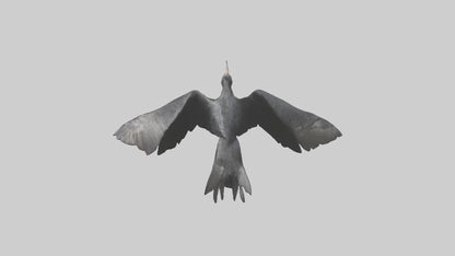 Galapagos Cormorant diving model 3D model