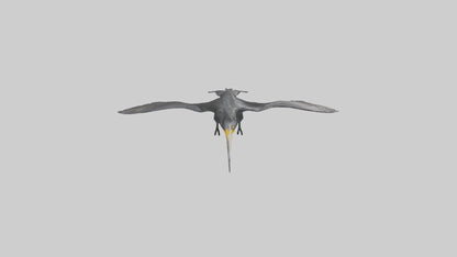 Galapagos Cormorant diving model 3D model