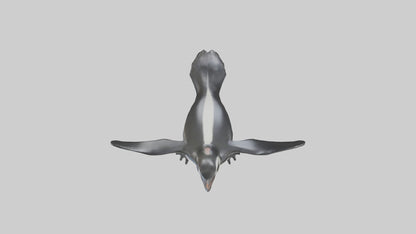 Galapagos Penguin sliding model VR / AR / low-poly