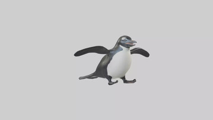 Galapagos Penguin sliding model VR / AR / low-poly