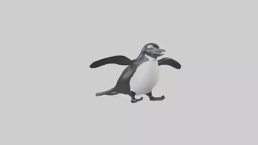 Galapagos Penguin sliding model VR / AR / low-poly