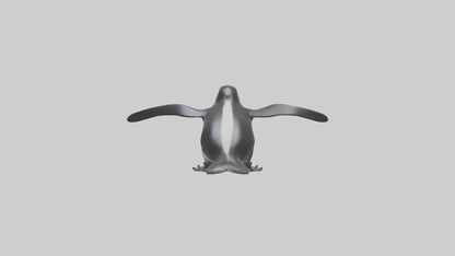 Galapagos Penguin sliding model VR / AR / low-poly