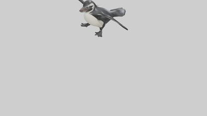 Galapagos Penguin sliding model VR / AR / low-poly