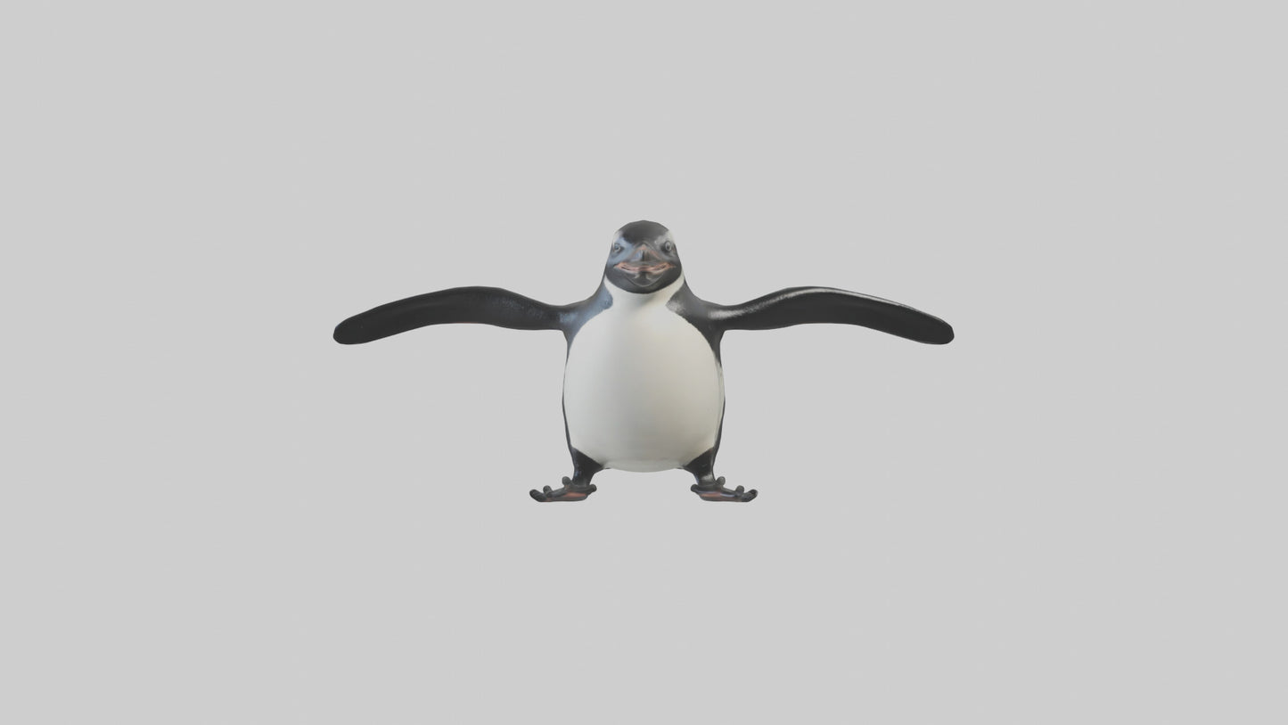 Galapagos Penguin sliding model VR / AR / low-poly