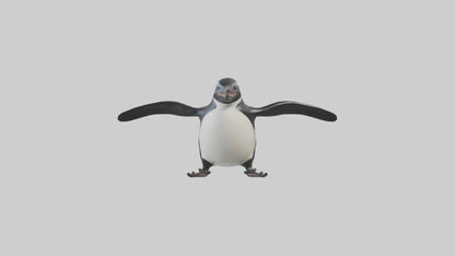 Galapagos Penguin sliding model VR / AR / low-poly