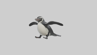 Galapagos Penguin sliding model VR / AR / low-poly