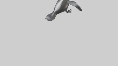 Galapagos Penguin sliding model VR / AR / low-poly