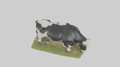 Galloway Cow grazing model 3D model