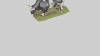 Galloway Cow grazing model 3D model