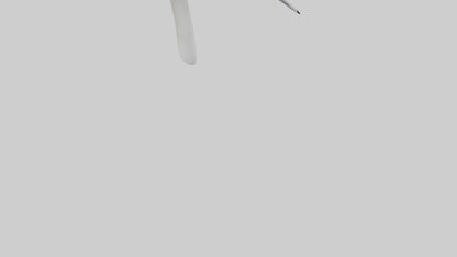 3D model Gannet Beak VR / AR / low-poly