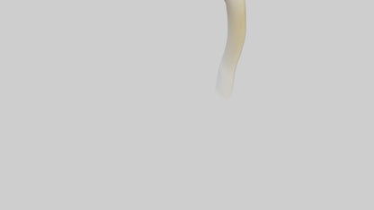 3D model Gannet Beak VR / AR / low-poly