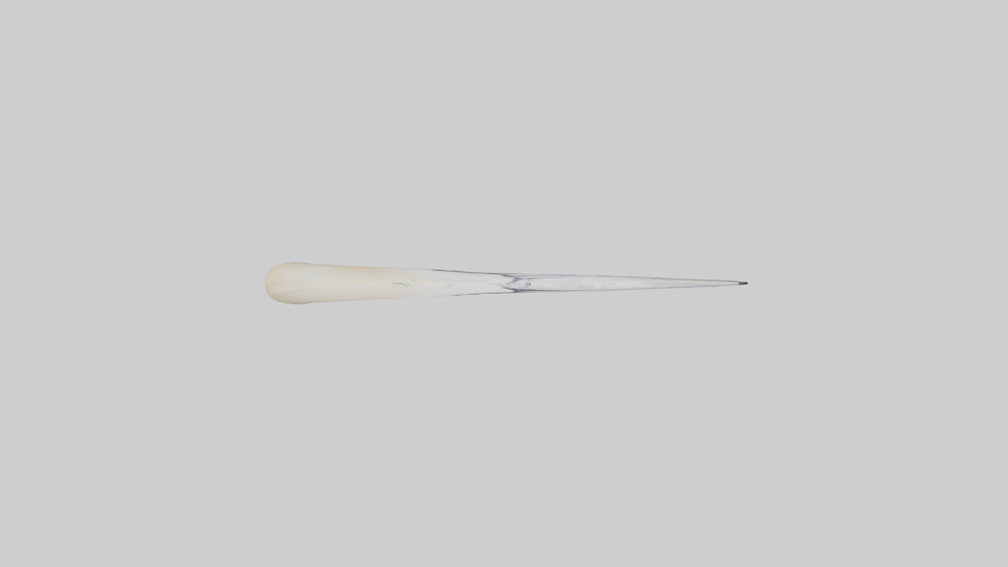 3D model Gannet Beak VR / AR / low-poly