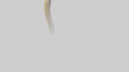 3D model Gannet Beak VR / AR / low-poly