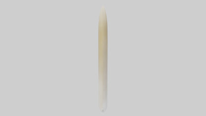 3D model Gannet Beak VR / AR / low-poly