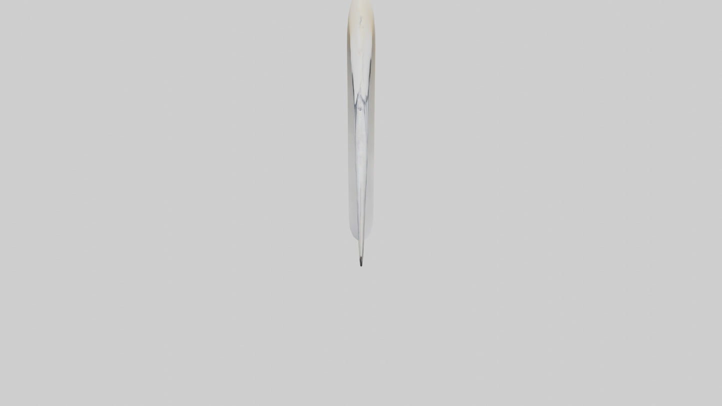 3D model Gannet Beak VR / AR / low-poly