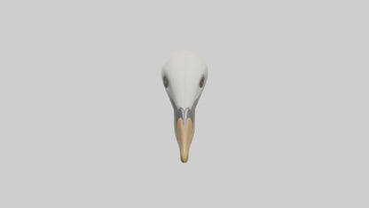 Gannet Beak Model VR / AR / low-poly