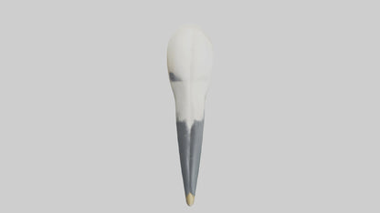 Gannet Beak Model VR / AR / low-poly