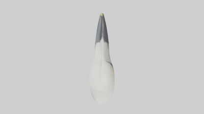 Gannet Beak Model VR / AR / low-poly