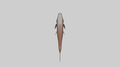 Gar swimming near surface model VR / AR / low-poly