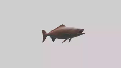 Gar swimming near surface model VR / AR / low-poly