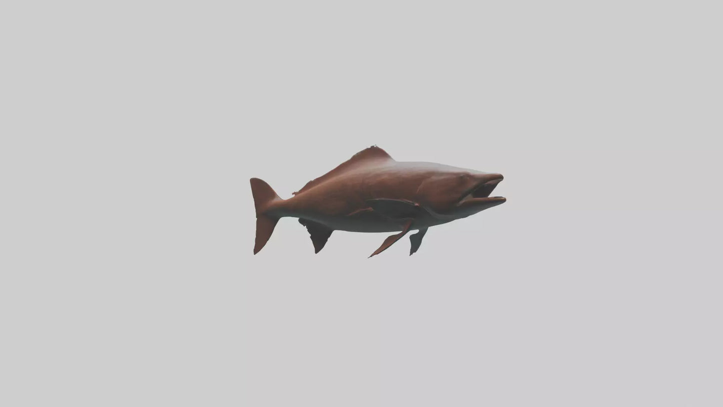 Gar swimming near surface model VR / AR / low-poly
