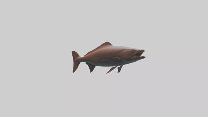 Gar swimming near surface model VR / AR / low-poly