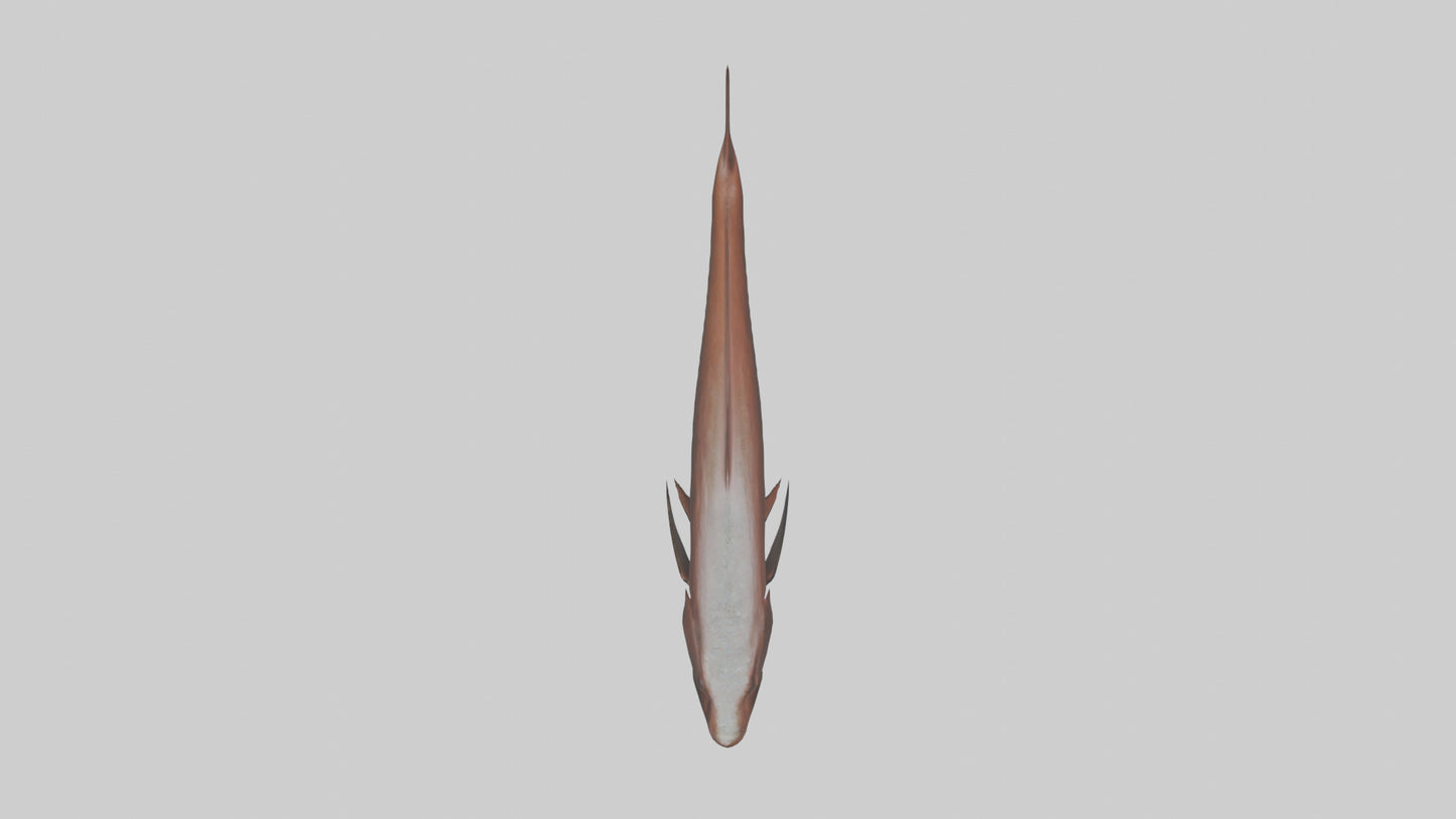 Gar swimming near surface model VR / AR / low-poly