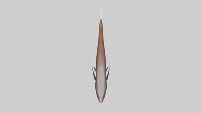 Gar swimming near surface model VR / AR / low-poly