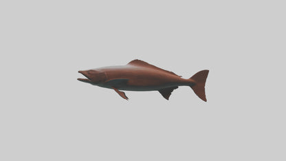 Gar swimming near surface model VR / AR / low-poly