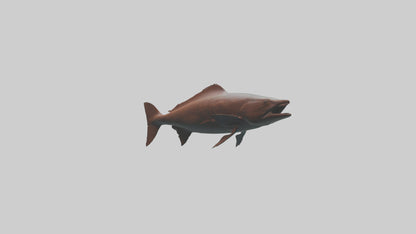 Gar swimming near surface model VR / AR / low-poly