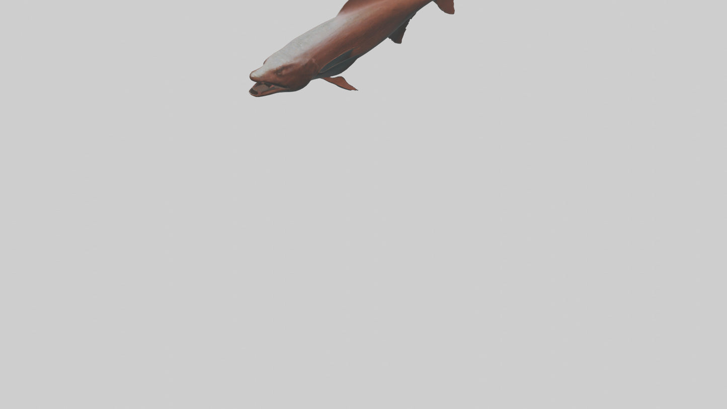Gar swimming near surface model VR / AR / low-poly