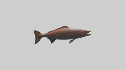Gar swimming near surface model VR / AR / low-poly