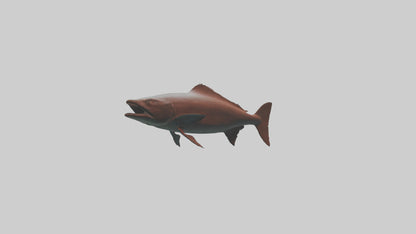 Gar swimming near surface model VR / AR / low-poly