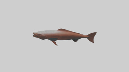 Gar swimming near surface model VR / AR / low-poly