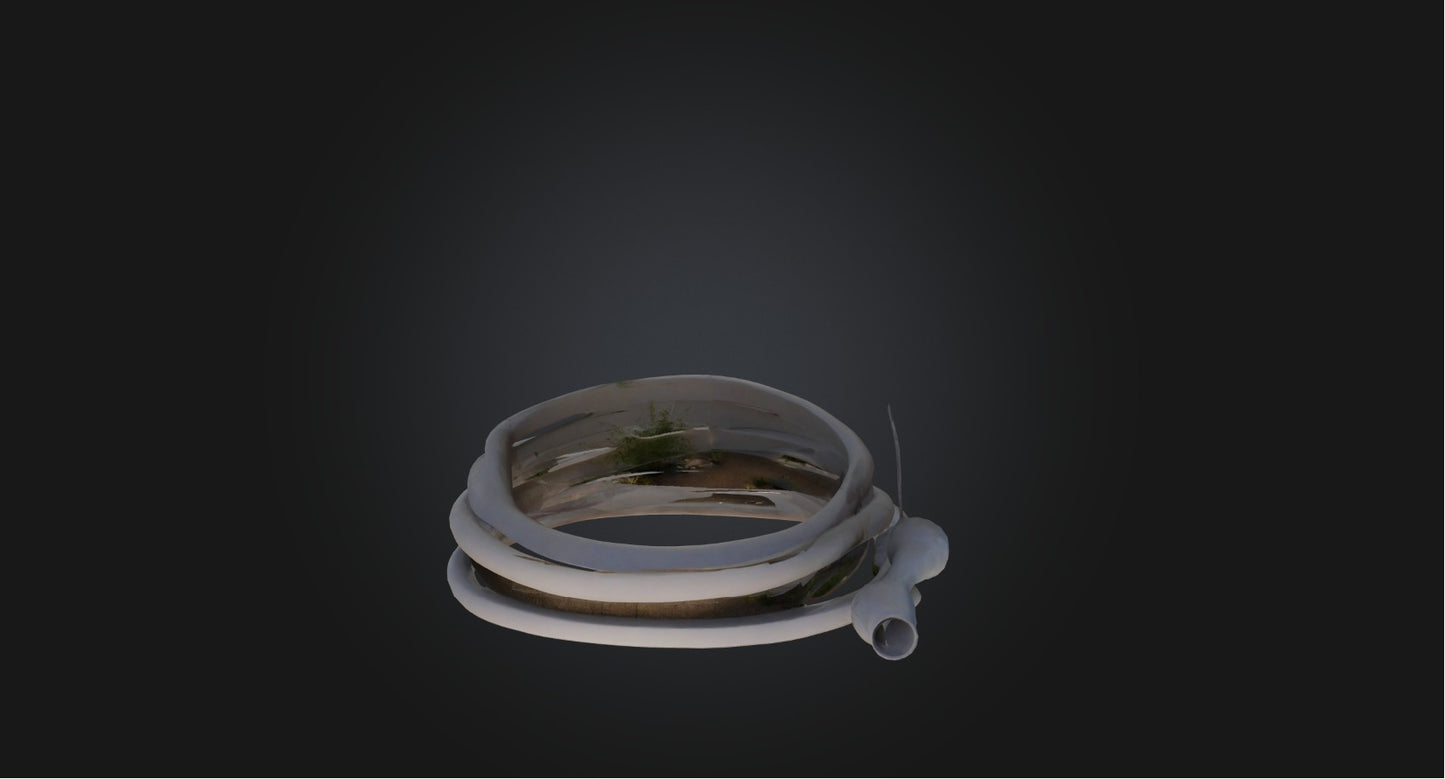 3D model Garden hose VR / AR / low-poly