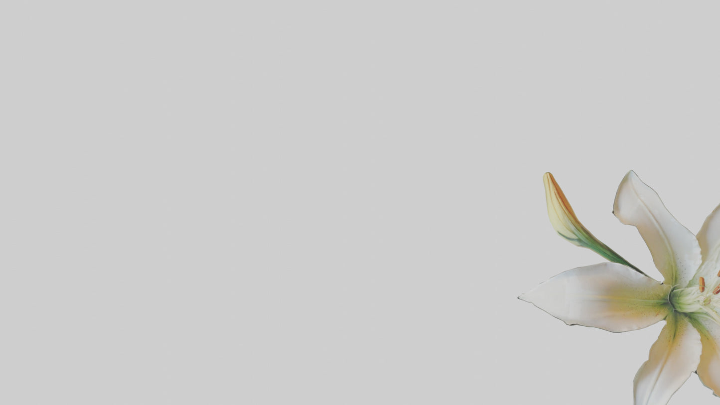 Garden Lily model VR / AR / low-poly