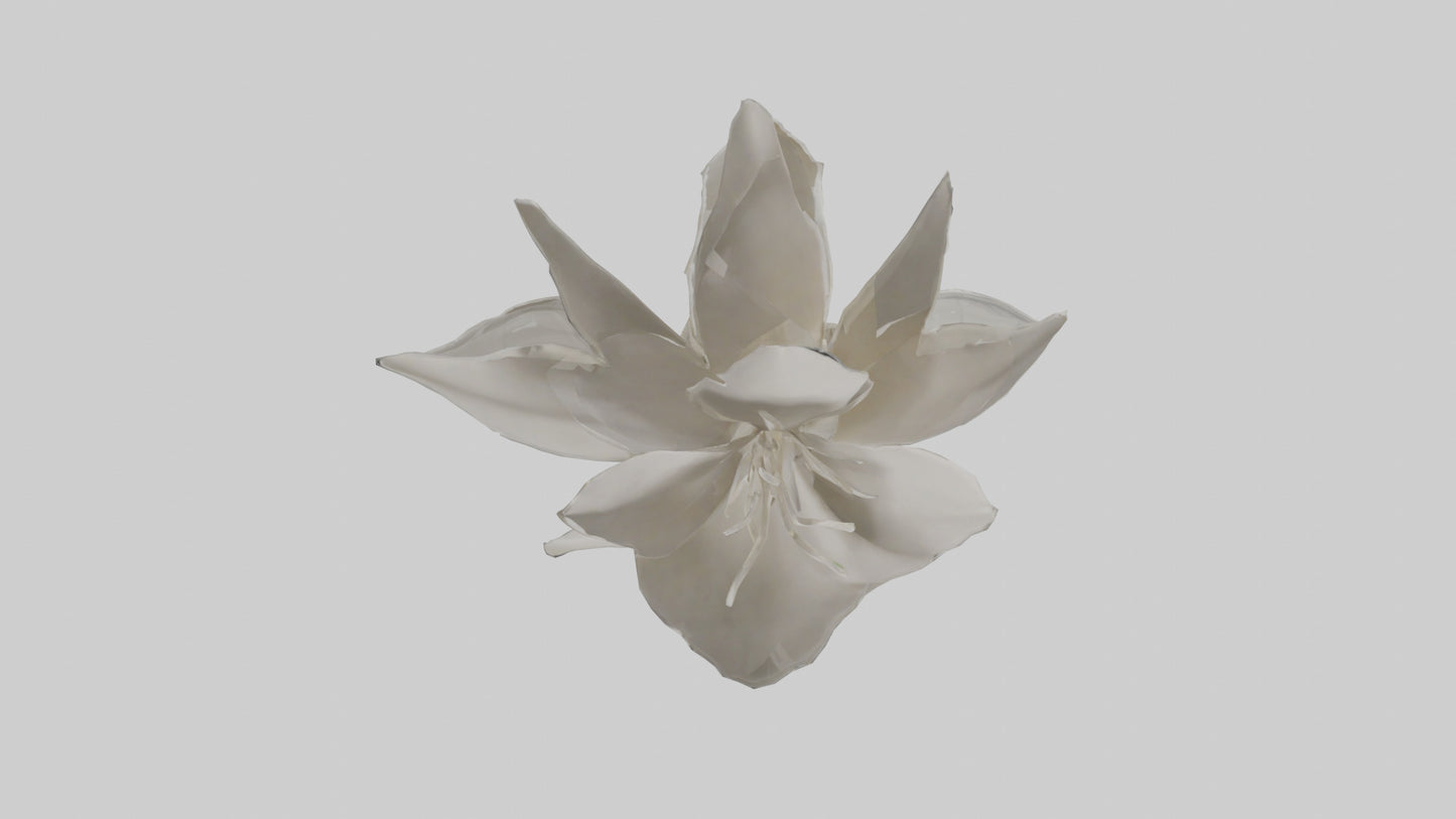 3D model Gardenia model VR / AR / low-poly