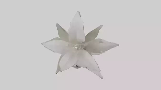 3D model Gardenia model VR / AR / low-poly