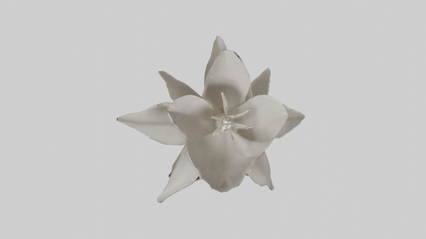 3D model Gardenia model VR / AR / low-poly