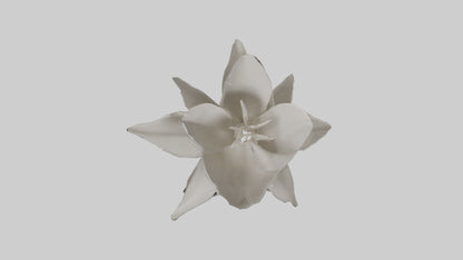 3D model Gardenia model VR / AR / low-poly