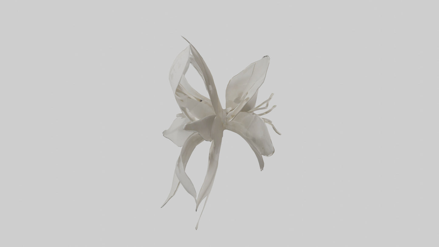 3D model Gardenia model VR / AR / low-poly