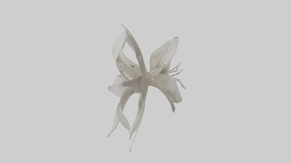 3D model Gardenia model VR / AR / low-poly